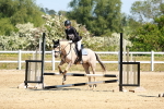 SBM_007384