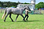 SBM_03369