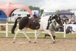 SBM_02063