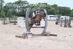 BPP_9302