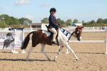 SBM_12437