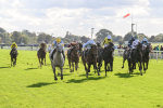 111024-Race 2-Mirabeau-1479