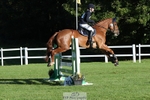 643-MIH.TOPGUN-Ellie.Nicholson-TrotUp+SJ portfolio