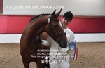 BPP_2377
