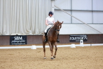 SBM_002615