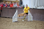 SBM_004603
