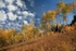 Autumn Grand Teton