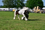 SBM_10039