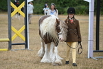 WJ6_8037