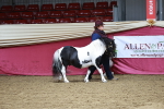 Class 3A - Area IH Pre-Vet portfolio