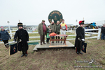 PtPres 16022554