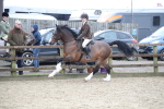 SBM_007102