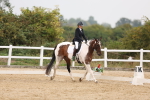 SBM_01663