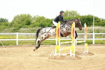 SBM_000659