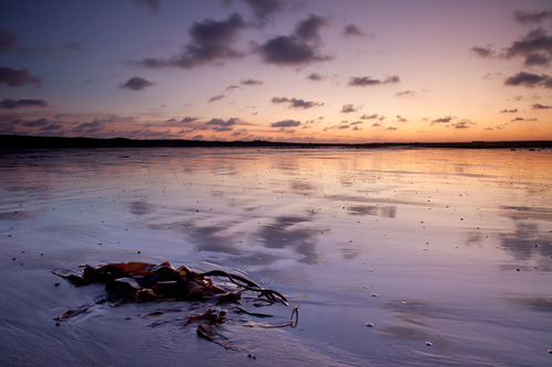 A cold January Morning at Castletown Beach.