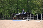 WJ6_8264