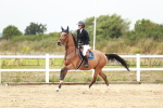 SBM_005488