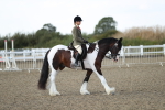 SBM_06965