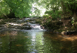 Deep pool on the Afon Tarell