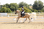 SBM_003028