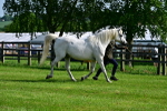 SBM_01051