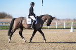 SBM_004431