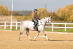SBM_000913