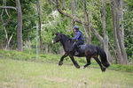 WJ6_1445
