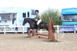 SBM_12169