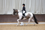 SBM_006308
