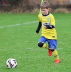 Kendal United Under 8's (17/1/26) portfolio