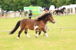 SBM_04418