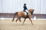 SBM_008044