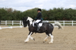 SBM_002201