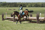 BVHT 140517  IXC -536