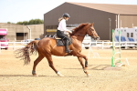 SBM_001732