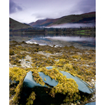 Loch Long