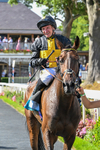 Race 6 16.55pm John Smith's Silver Cup Stakes portfolio