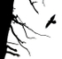 TENSET #9