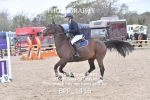 BPP_1416