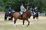 WJ7_1269