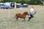 WJ6_6887