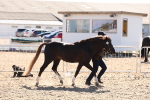 SBM_14032