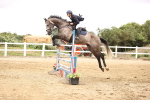 SBM_003291