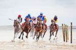 Flying Horses - The Omey Races 2017