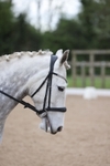 Class 3 - Prelim 1 portfolio