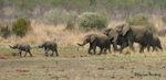 Family outing