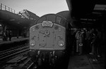 Newcastle, Tyne & Wear portfolio