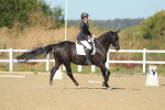 SBM_000877