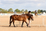 SBM_10960